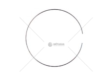 Pojistka synchronu překlápěcí PLANET.ZF A ZF 0730513682