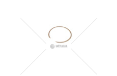 Pojistný kroužek 86276087