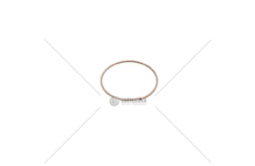 Pojistný kroužek 934078