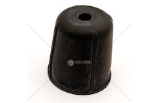 Prašnice hlavy válce 22