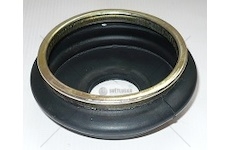 Prašnice kulového čepu komplet s kroužkem - TATRA