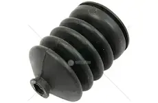 Prašnice | MT125024