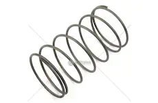 Pružina čističe paliva s50 | S98.0512