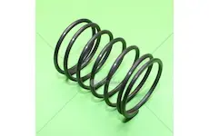 Pružina | TZ70062