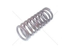 Pružina válečku uzávěrky diferenciálu Liaz