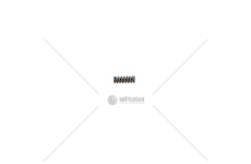 Pružina západky synchronizátoru IVECO EURORICA 30530173