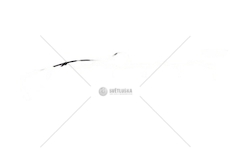 PRZEWOD ODPOWIETRZNIKA SCANIA COSIBO 68285/1