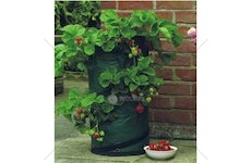 Pytel na pěstování ovoce a zeleniny, textil, 35x55cm