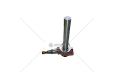 Rameno čepu pravé 80205080