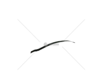 Reinforcement Set, leaf spring RINFORZO BALESTRA MONOLAMA DUCATO POST Erar