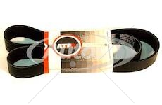 Řemen drážkový  8pk1230 volvo, iveco, leyland 0135475_A