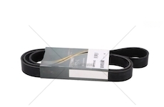 Řemen rozvodový HD DAYCO 8PK1761HD