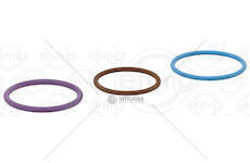 Repair Kit, pump-nozzle unit F3AE0681/F3BE0681 Elring