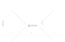 Sada pístních kroužků KOLBENSCHMIDT 800109210000