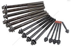 Sada šroubů hlavy válců IVECO DAILY - 15ks 1110003