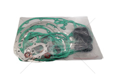 Sada těsnění motoru Multicar M22