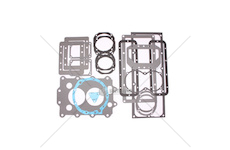 Sada těsnění převodovky hnaná PN 60110088