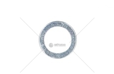 SCHEIBE ZF 0730301374