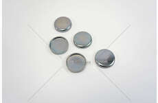 Screw Cap F4AE0681 - TECTOR Iveco