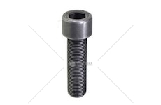 SCREW M18X1.5X60 MM EURORICA 74170930