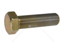 SCREW M24X2X85 EURORICA 60531515