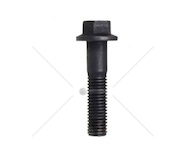SCREW T.E. M12X55 EURORICA 74171234