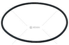 Seal Ring 117,5x3,5 / AEM RD Elring