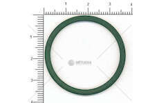 Seal Ring 8040/8060/8210/8360 - EUROCARGO Iveco