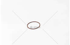 Seal Ring 8460.41/F1AE0481/CURSOR O-RING Iveco