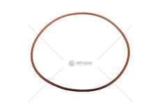 Seal Ring CURSOR 8/9 BUS - F2BE/F2CF/F3BE Iveco