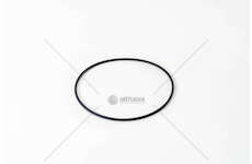 Seal Ring, cylinder liner F3GFE611A/B/D/E/F/G - STRALIS UPPER Iveco