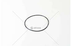 Seal Ring, cylinder liner GOMMINI CANNE 140 X 3.8 D.125 Victor Reinz