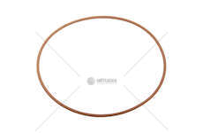 Seal Ring E.TRACK CURSOR/STRALIS AD/AS/AT O-RING Iveco