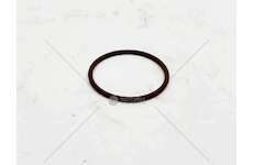 Seal Ring F1CE0481P - EUROTRAKKER O-RING Ø 46MM Iveco