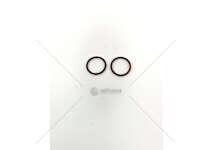 Seal Ring F2BE4682 - VT 031,34X3,53 Iveco