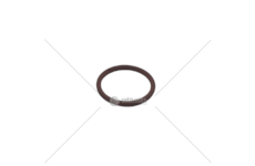 Seal Ring, injector F1CE/F2BE/F3GF - EUROCARGO/EUROTECH Iveco