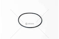 Seal Ring, injector O-RING Iveco