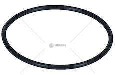 Seal Ring O-RING CURSOR 8/9 BUS Iveco