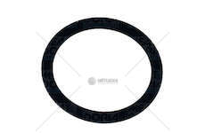 Seal Ring O-RING DIAM. 28,1 MM - SP. 3,5 MM Iveco