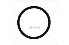 Seal Ring O-RING Iveco