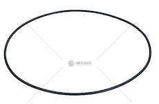 Seal Ring O-RING Iveco