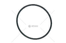 Seal Ring O-RING VT 055,24X2,62 Iveco