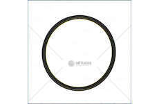 Seal Ring STRALIS/TRAKKER - F2CF/F3GF/F3HF Iveco