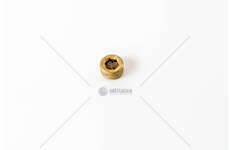 Sealing Plug, retarder TAPPO FILLETTATO IN OTTONE D.26 X1,50 Mec-Diesel