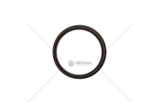 Shaft Seal, crankshaft 176A6/199B9-DOBLO/PUNTO/500 1.1/1.4 Victor Reinz