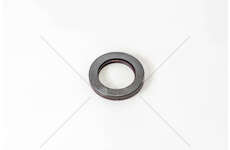 Shaft Seal, differential 60X90X13 - B2BAVISLDRWX7 - Iveco