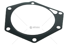 SHEET GASKET EURORICA 95535203