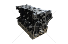 Shortblocks F1AFL411 - DAILY/DUCATO E6(BAS .IN GHISA) Mec-Diesel