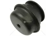 Silentblok motoru pro sor70 euro4 s podložkou | 55790001048