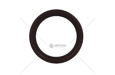 SIMERING MAN 55*70*10 ZF ASTRONIC MID12  0734300671